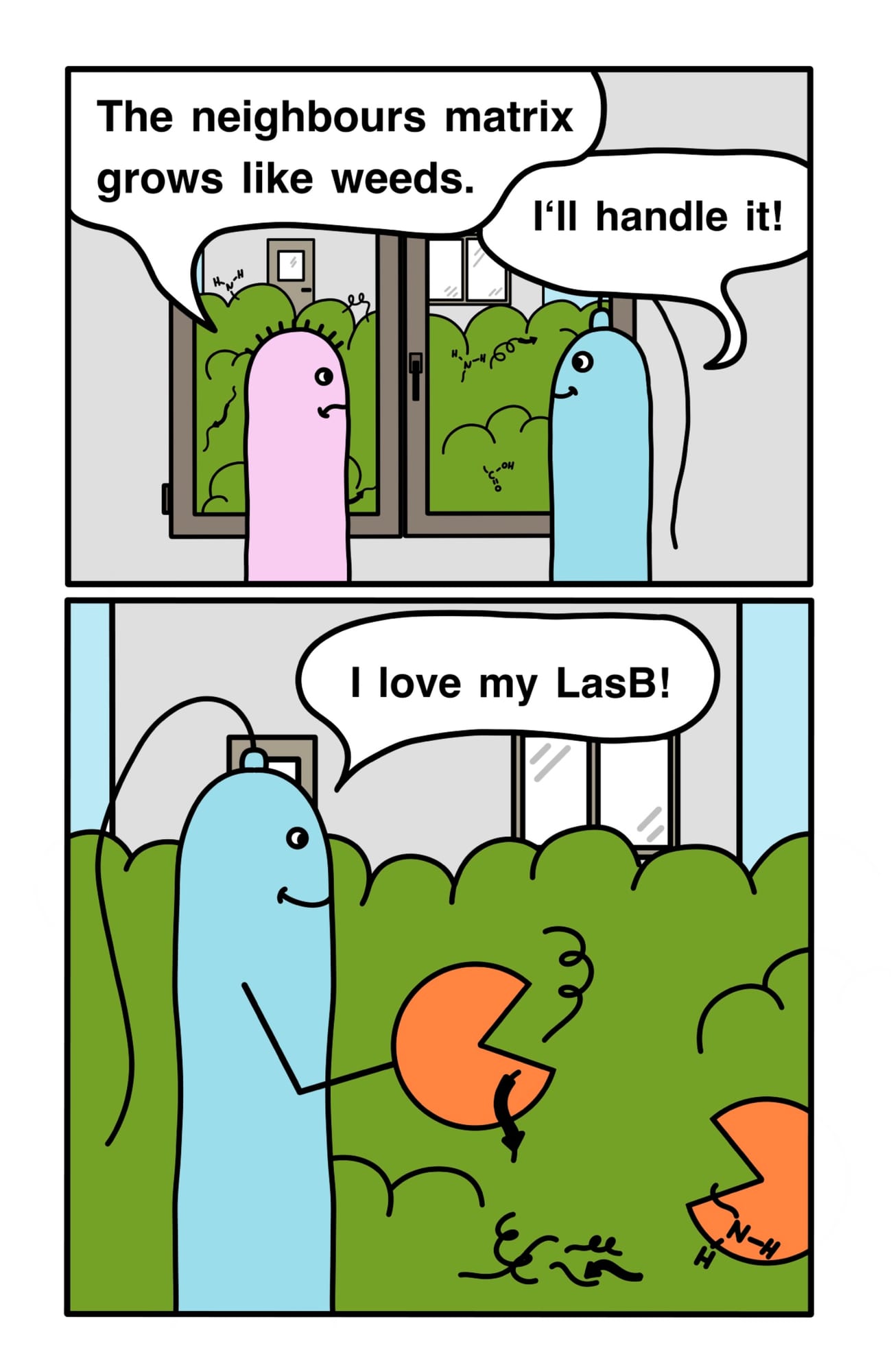 A Pseudomonas peeks out of an overgrown window. Below, the same bacterium happily uses LasB elastase to chew through the neighbour's matrix.